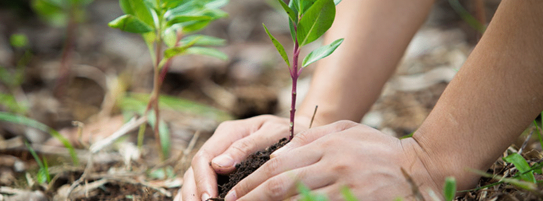 How Corporate can meet CSR obligations