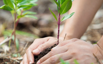 How Corporate can meet CSR obligations