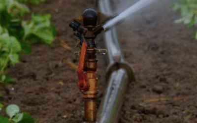 Water Conservation Methods