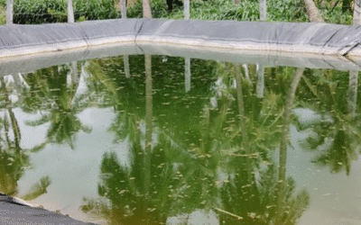 Rainwater Harvesting For Industries and Commerical places