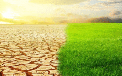 Catch the rain: PM Modi urges people to conserve water ahead of summers