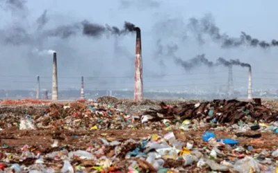 India’s Environmental Issues and Their Solutions