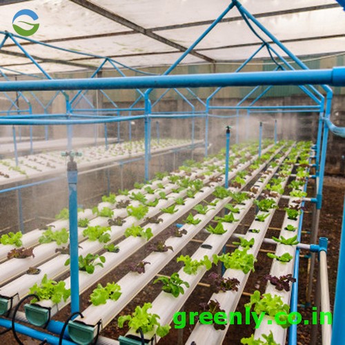 hydroponic misting system
