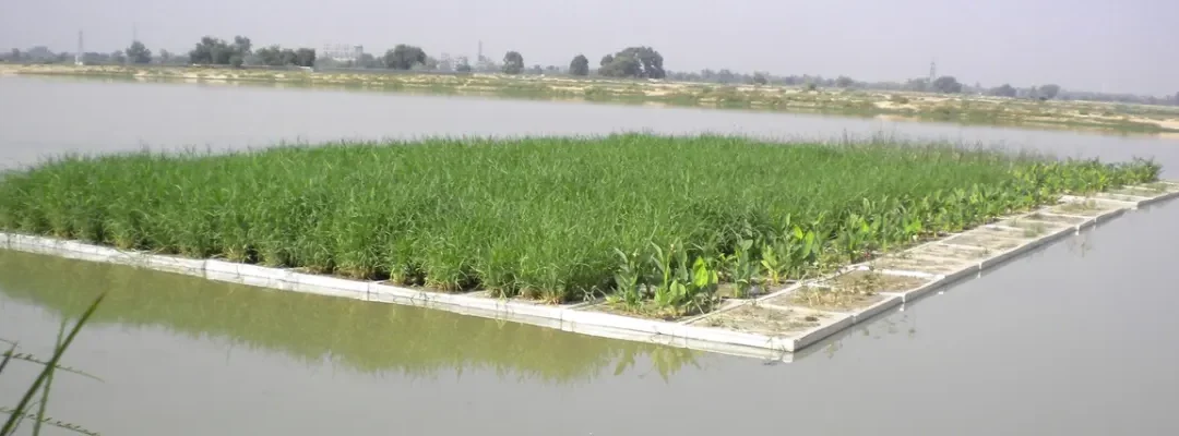 Floating Wetland and Waste Water Treatment in India