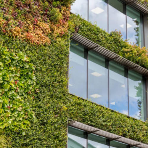 Building sustainable solutions