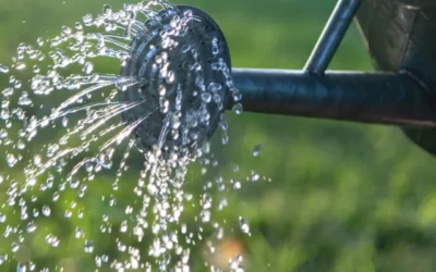 Water management and why it’s important?