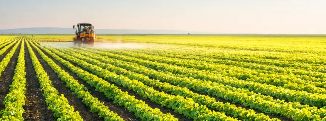 Sustainable Natural Resources