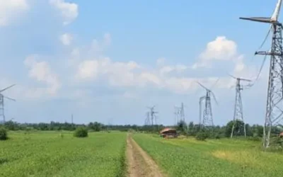 Lack of Sustainability