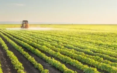 Sustainable Natural Resources