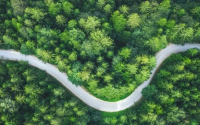 Sustainable Development