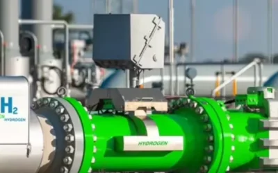 The future of green hydrogen in India