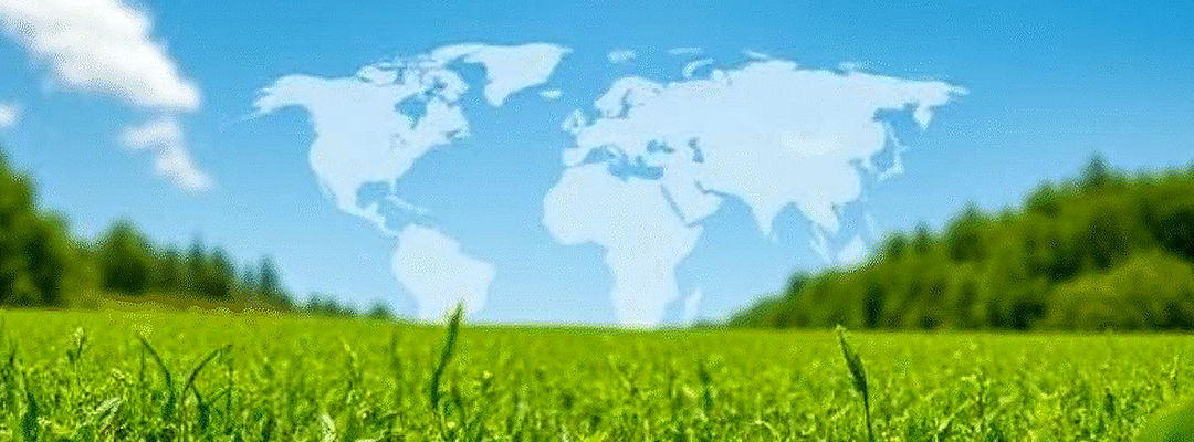 Global standing of green hydrogen