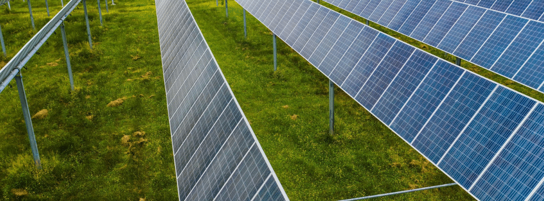 Green hydrogen paving the way for sustainable energy in the near future