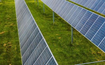 Green hydrogen paving the way for sustainable energy in the near future