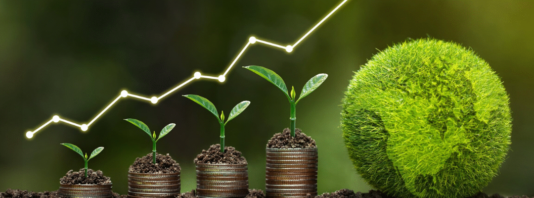 How organisation can implement ESG practices