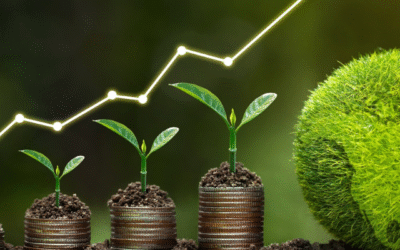 How organisation can implement ESG practices