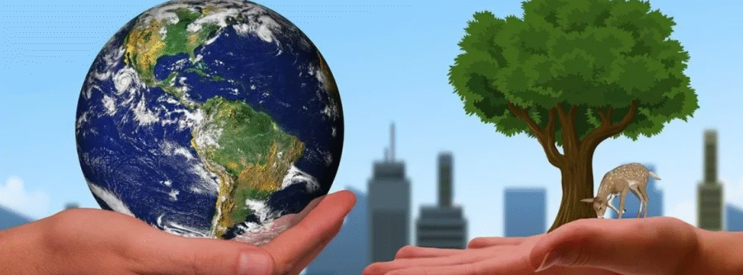 Environmental sustainability practices in cement manufacturing