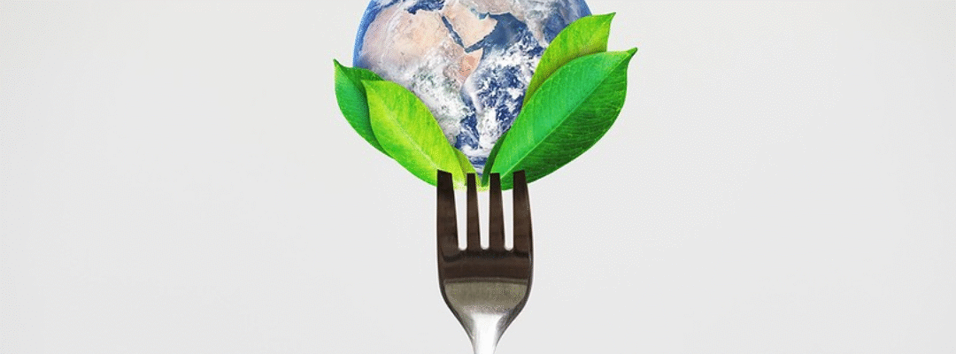 Environmental sustainability practices for food industry