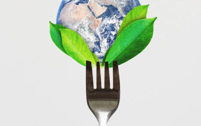 Environmental sustainability practices for food industry