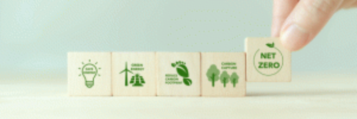 How Industries Can Implement Net Zero Emissions
