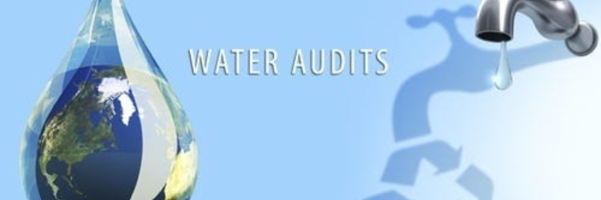 How to Perform Water Audi