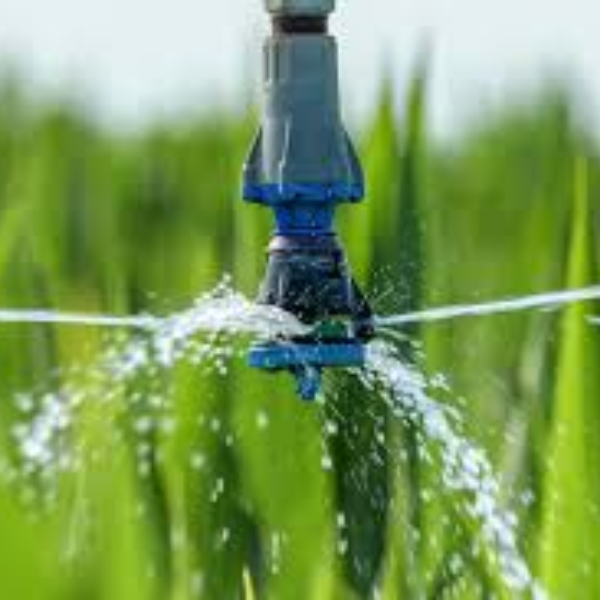 Agricultural Use<br />
