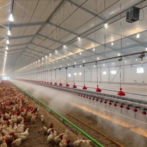 Poultry Farms (Broilers & Layers)
