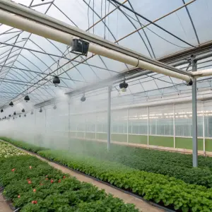 Greenhouse humidification