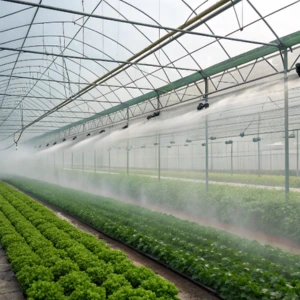 Vegetable Farms