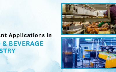 Why Food & Beverage Companies Rely on RO Systems